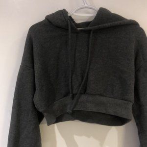 Dark Gray Aritzia TNA Super Crop Hoodie (XXS)